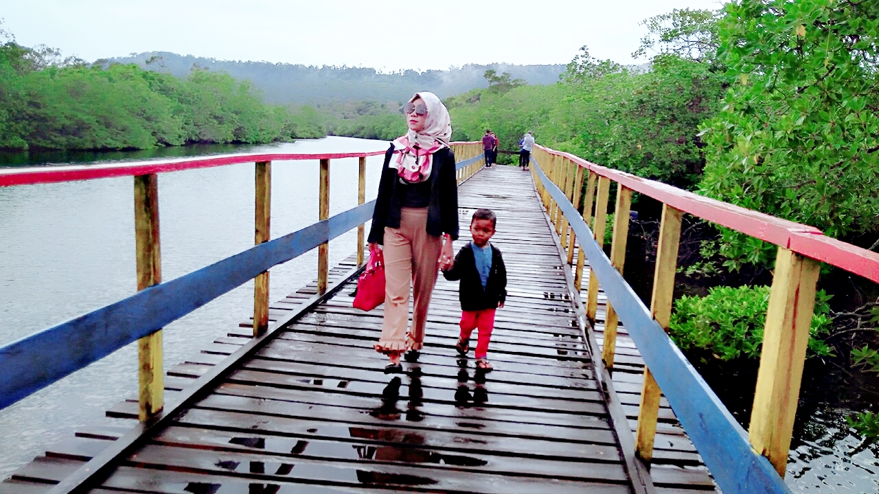 Ayo ke Desa Pengadah, Ada Wisata Mangrove Unik yang Layak Dikunjungi